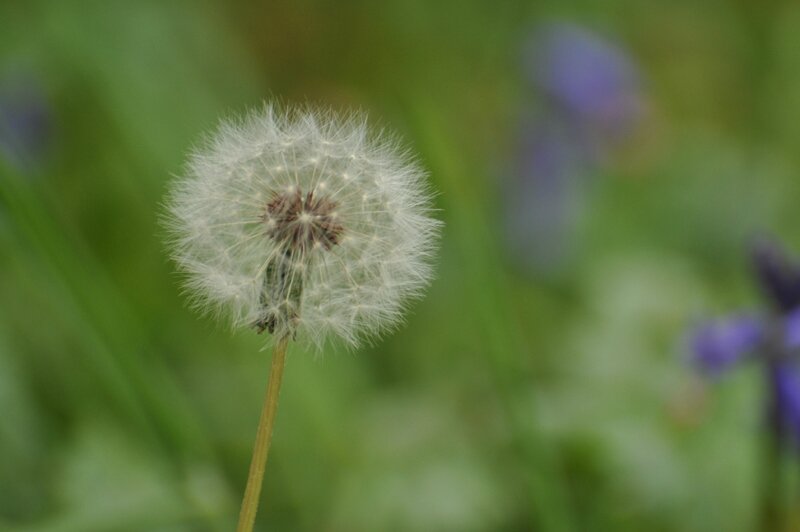 DSC_1614