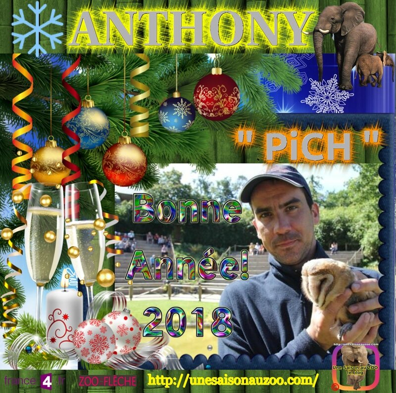 ANTHONY 0 Nouvelle an 2018