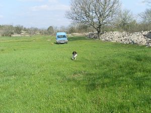 Sky_galope_Avril_2010