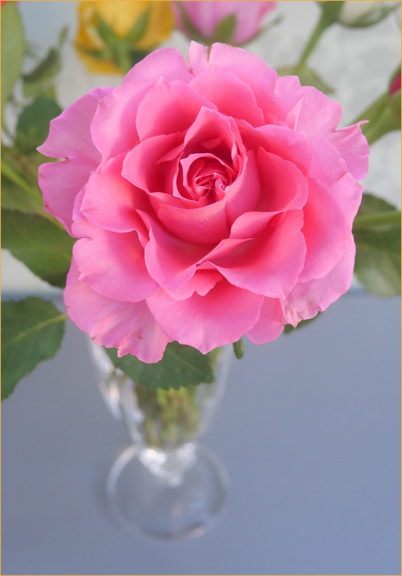 fleursdimanchemars3