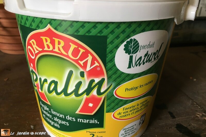 Pralin