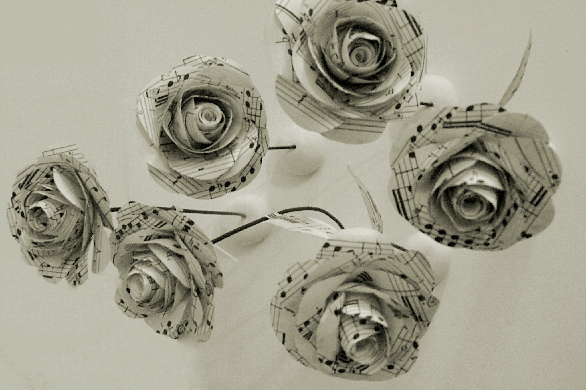  Roses découpées dans une partition de Mozart ©Kalifragili (tous droits réservés) 