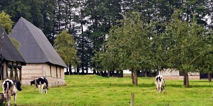 demarche-dinscription-des-clos-masures-de-la-seine-maritime-sur-la-liste-du-patrimoine-mondial-de-lunesco