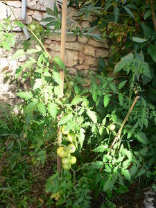 P1120015