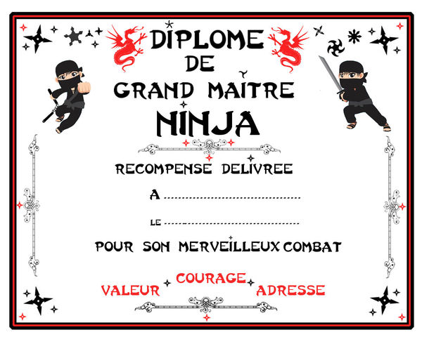 diplome_de_MAITRE_NINJA