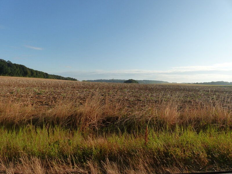 P1550375