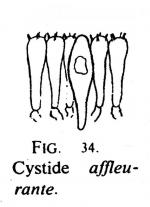 Jos 190 fig 34