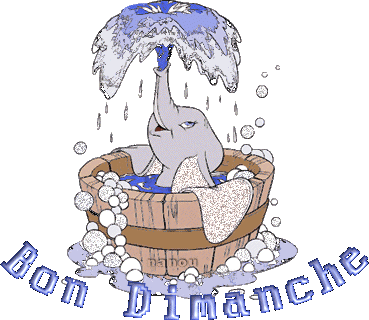 BON_DIMANCHE__l_phant_dans_bain
