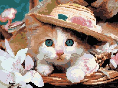 chaton chapeau grille pt