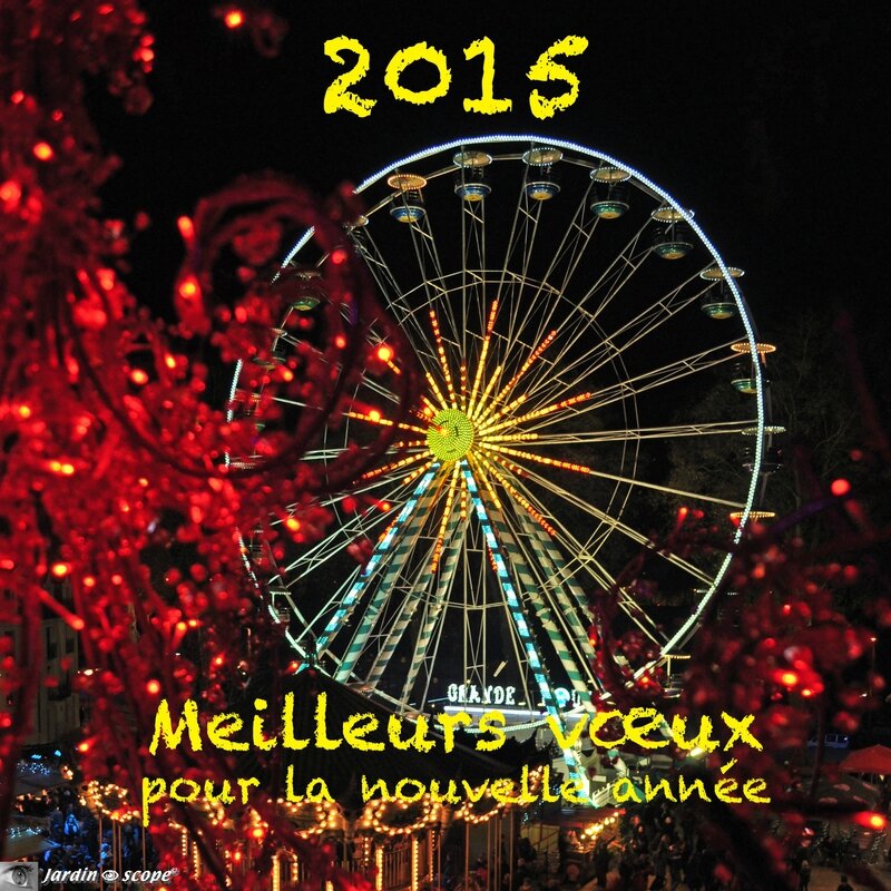 Vœux-2015
