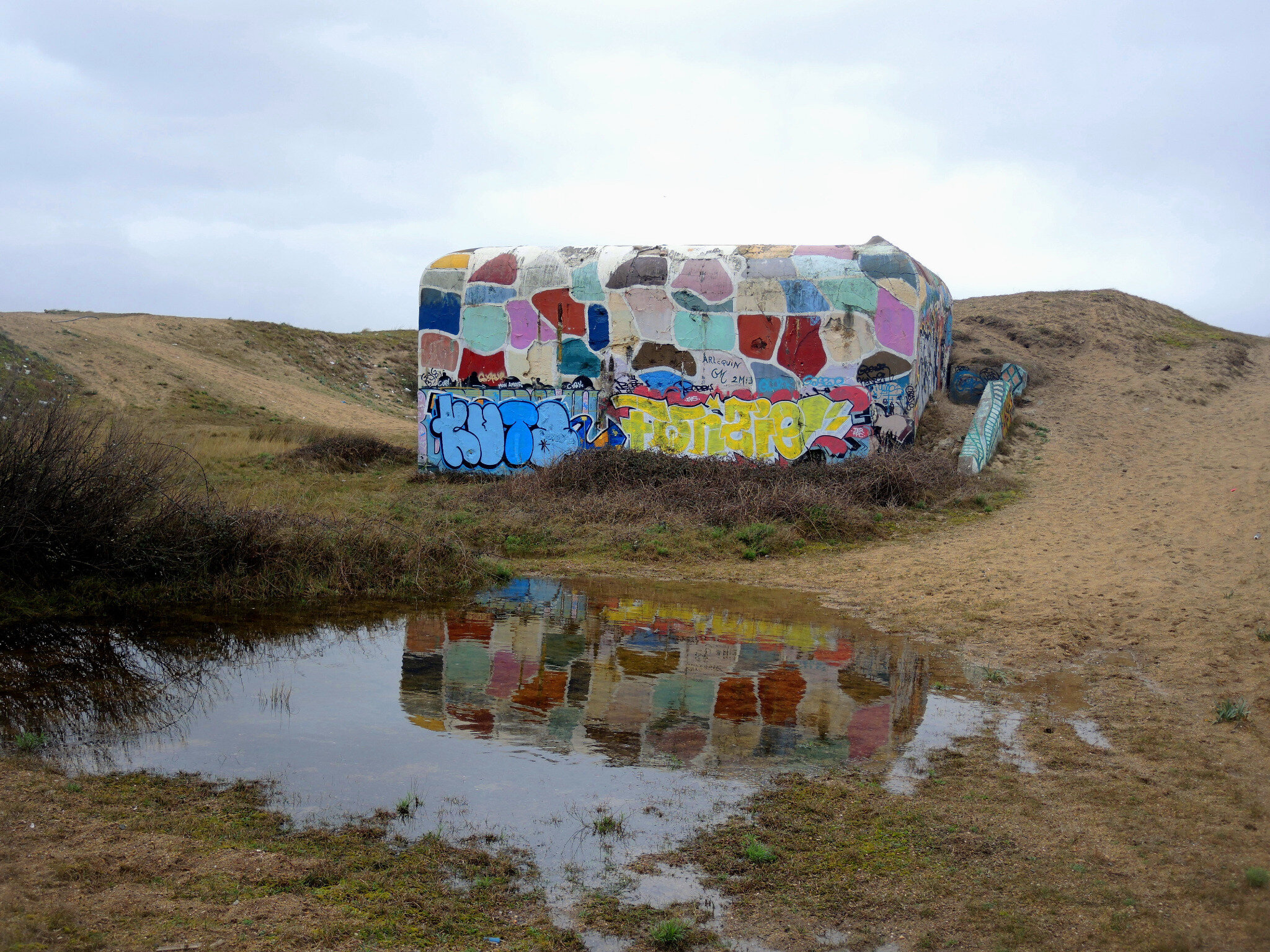 Tarnos, champ de blockhaus, couleurs (40)
