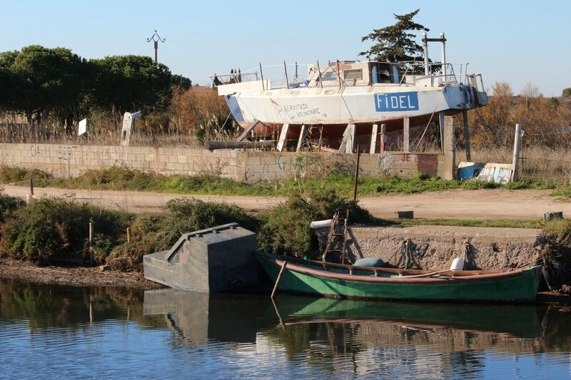 IMG_6959 - Copie