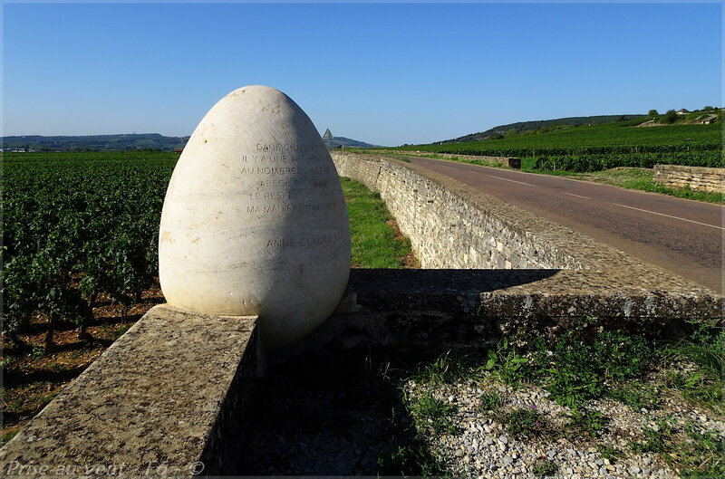 Oeuf de pierre Puligny - 3