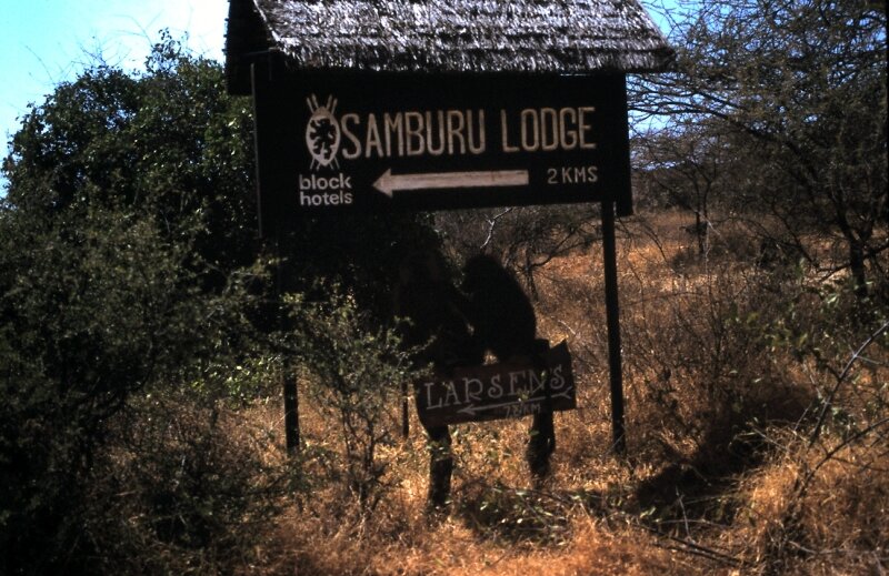 samburu babouin lodge a