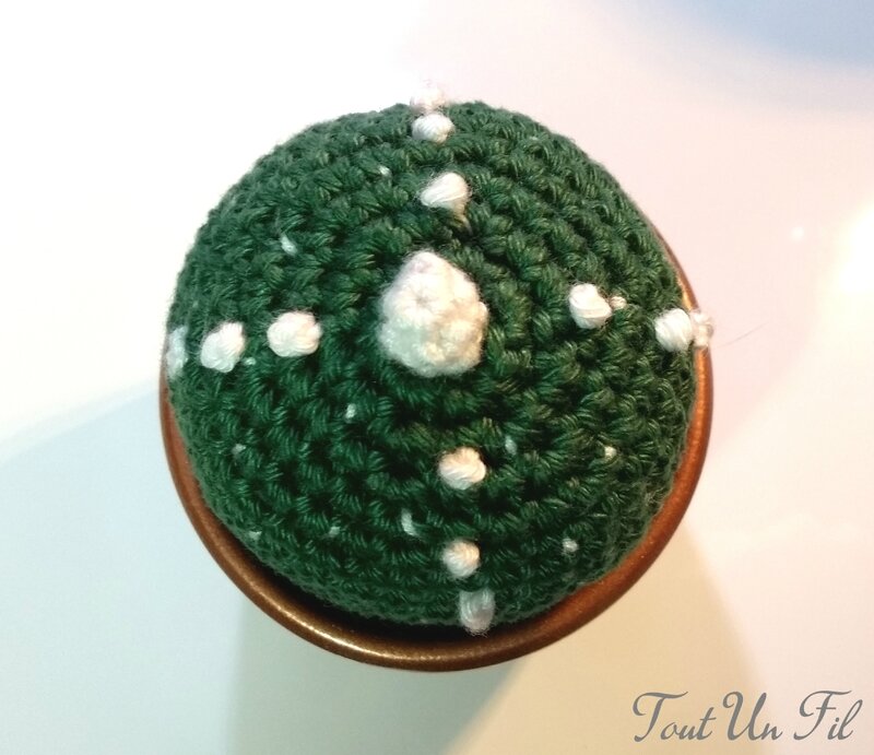 Cactus boule Pot Bronze Tout Un Fil 02