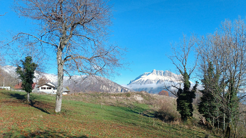 Montlambert (20)