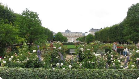 Jardins_Palais_Royal_1