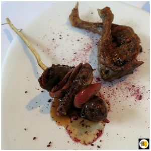 Poitrine rôtie et cuisse de pigeon confite, légumes rouges et feuilles, foie gras et rhubarbe (3)