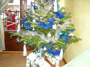 sapin_noel_2010_001