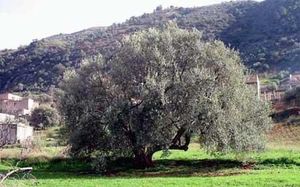 photo_bejaia_06