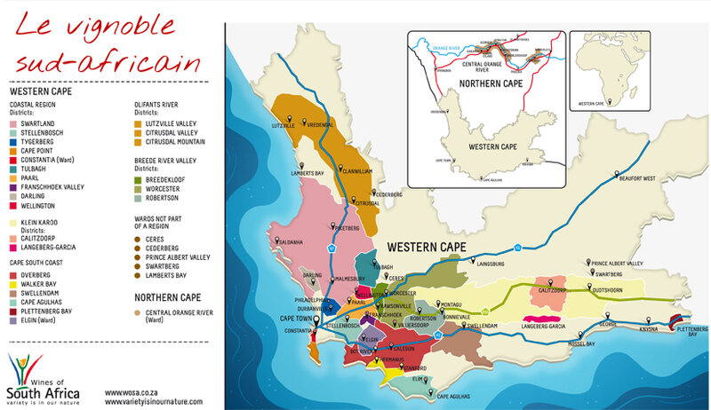 vignoble-afrique-du-sud Estate Selection