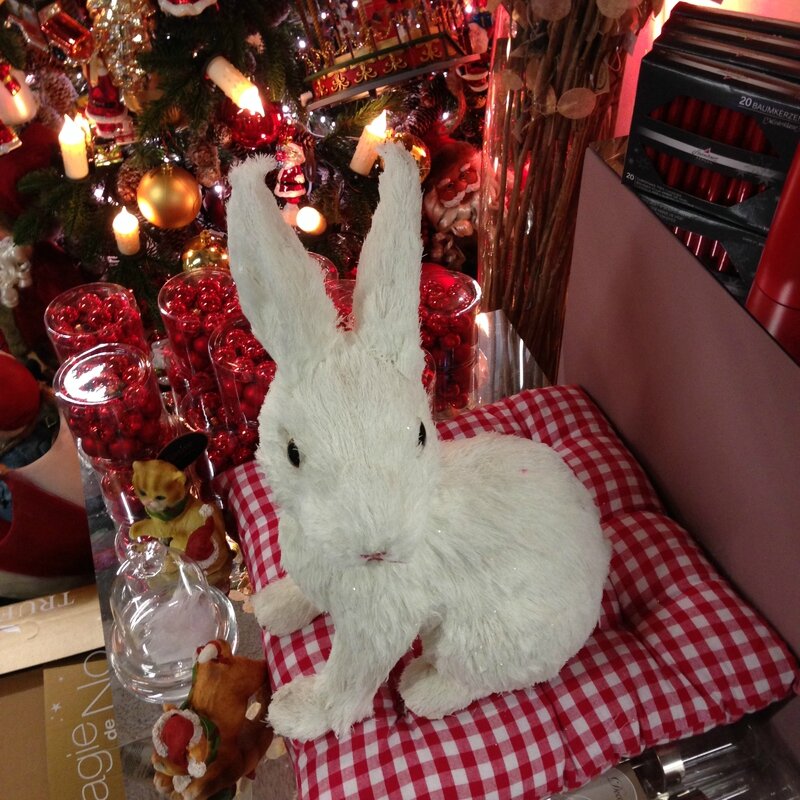 Giant Bunny picnic