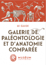 Galerie de paléontologie et d'anatomie comparée couv
