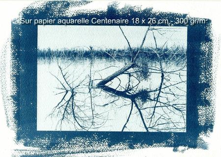 cyanotype tirage Joel Lintz
