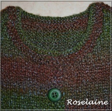 Roselaine725 gilet tricot