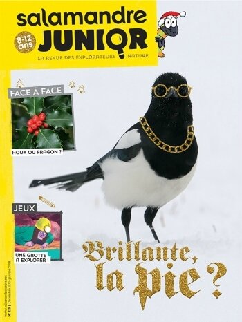 Salamandre Jr 115 (1)