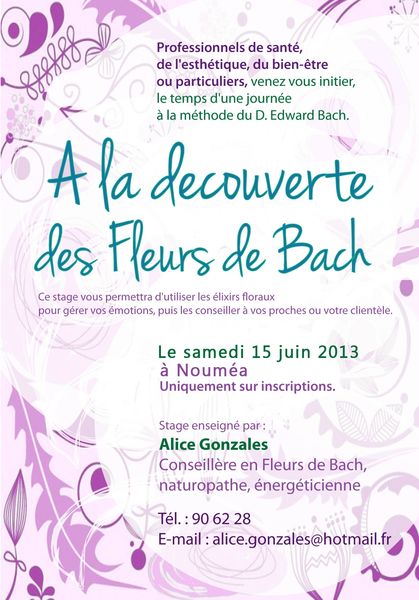 AFFICHE stage JUIN Net