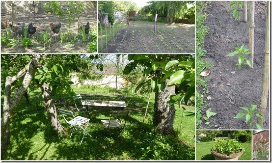 jardin 24 mai 20202