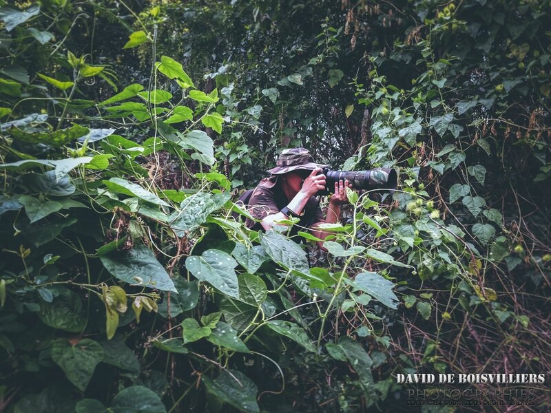 DaviddB Photographe, vu par ©2015 Sébastien de Boisvilliers