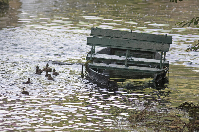 ville barque épaves canards 290619