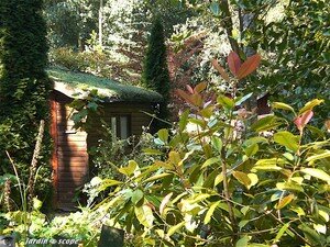 7432_Cabane_a_outils