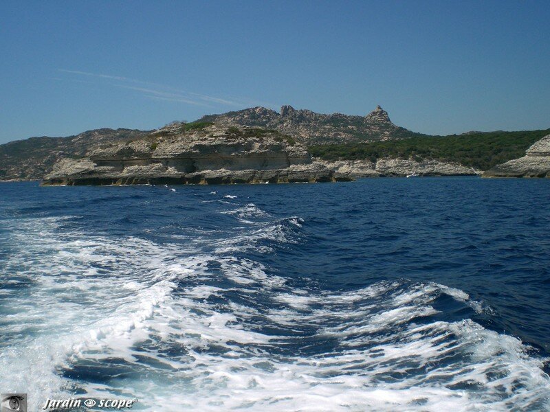 Bonifacio - Calanque de Paraguato