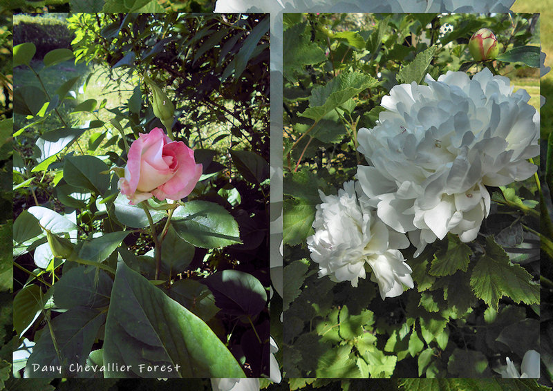 Blog83a