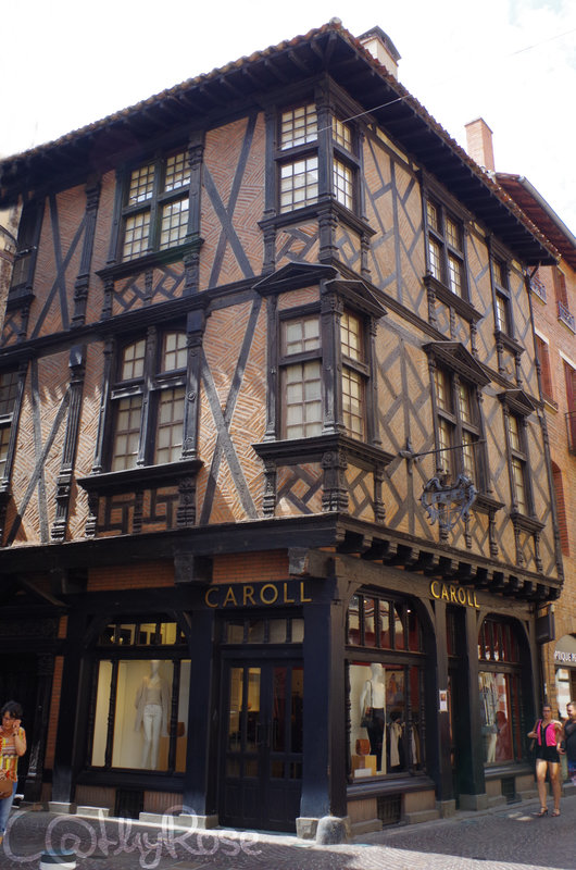 Albi rues et maisons (58)