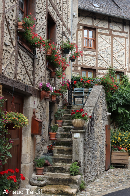 001858 Aubrac Juin 2023 - Aveyron - Ste Eulalie d'Olt