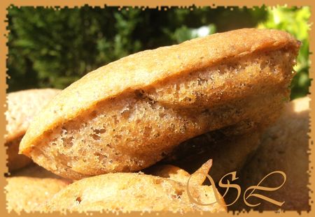 Madeleines au NUTELLA recettes dessert Moustaches de riz