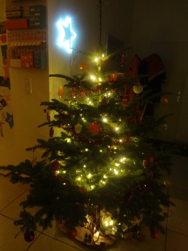 sapin2