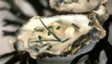 huîtres en gelée