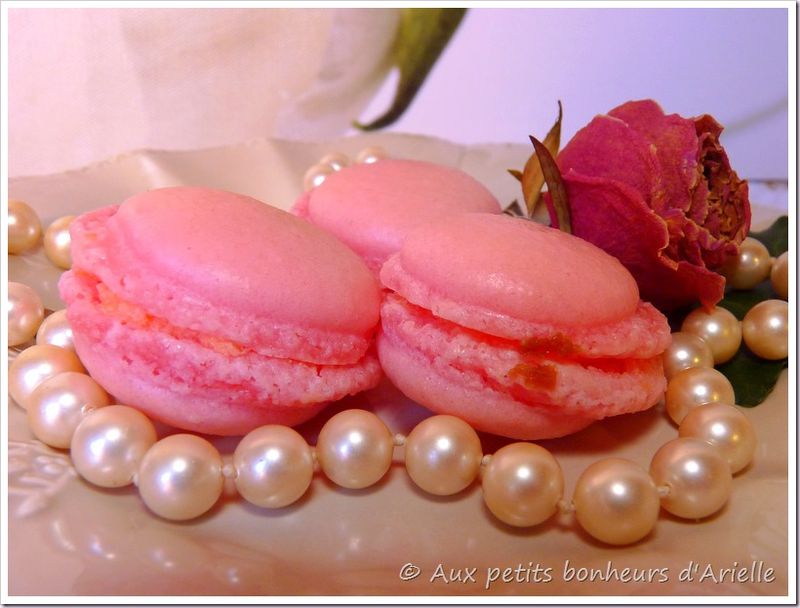 Macarons (5)