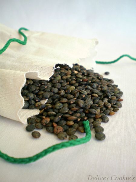 houmous lentilles lin carvi 3