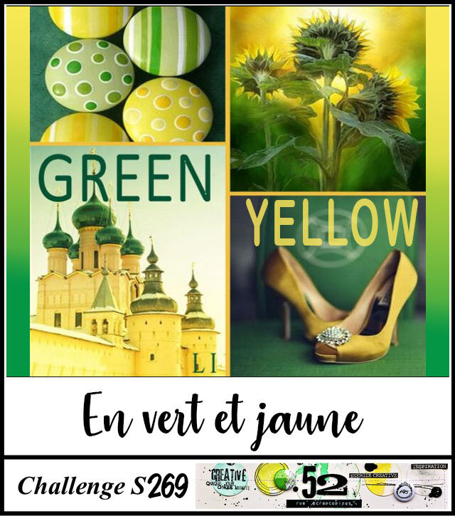 S269-vert&jaune