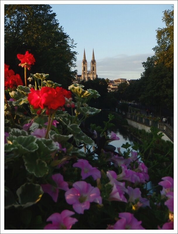 Niort soir fleurs eglise lumiere 100714