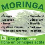moringa-baomix-laboratoire-biologiquement-phytotherapie-traitement-therapeutique-plantes-medicinales