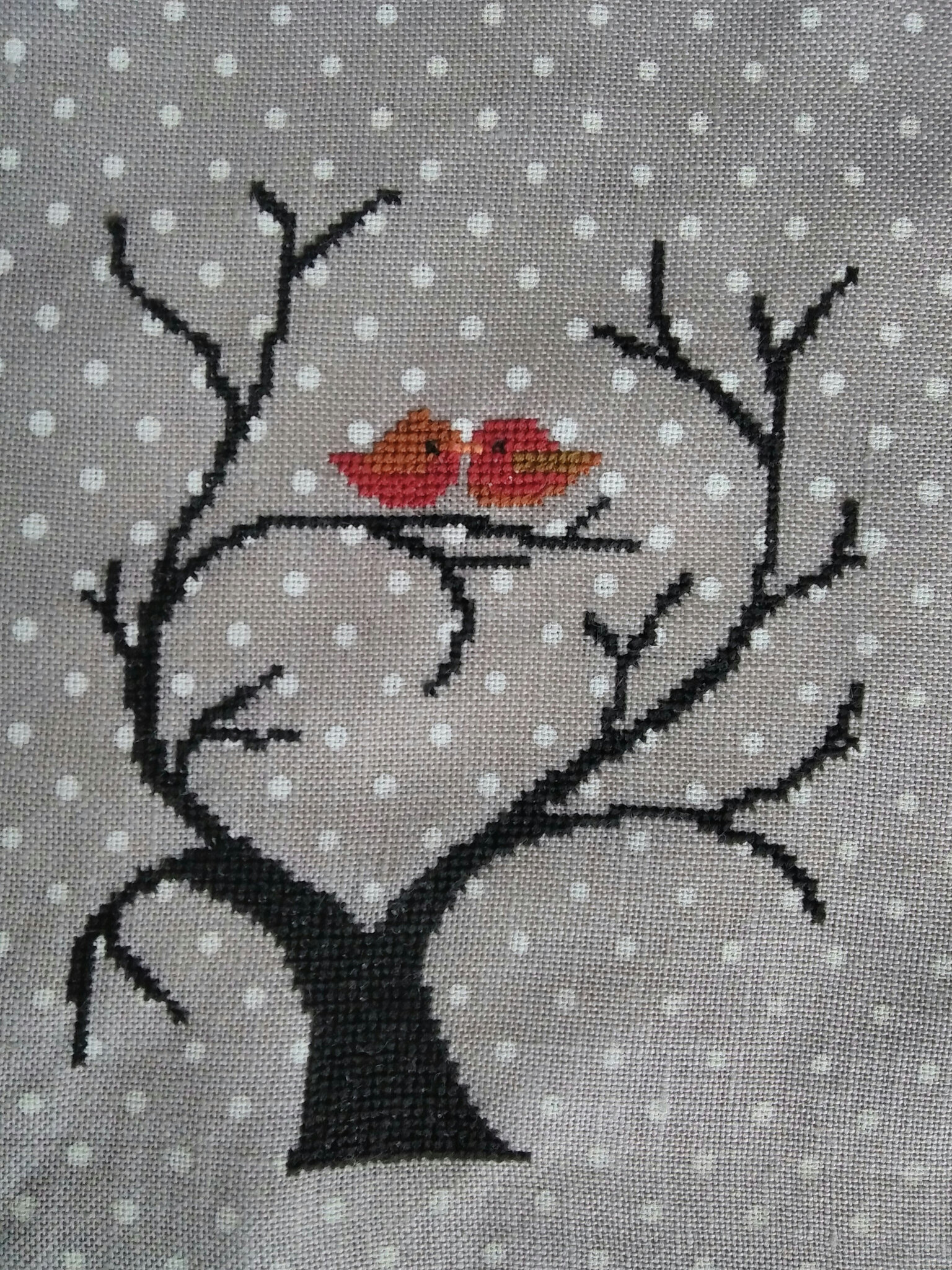 arbre de février