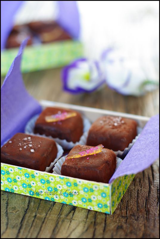 ganache_boite_copie