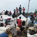 Brazzaville : Une ville de lamentation pour des immigrants centrafricains
